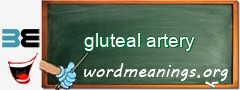 WordMeaning blackboard for gluteal artery